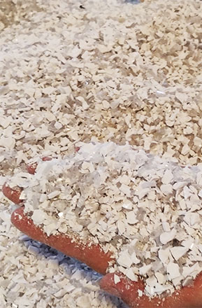Masterpet® para PET